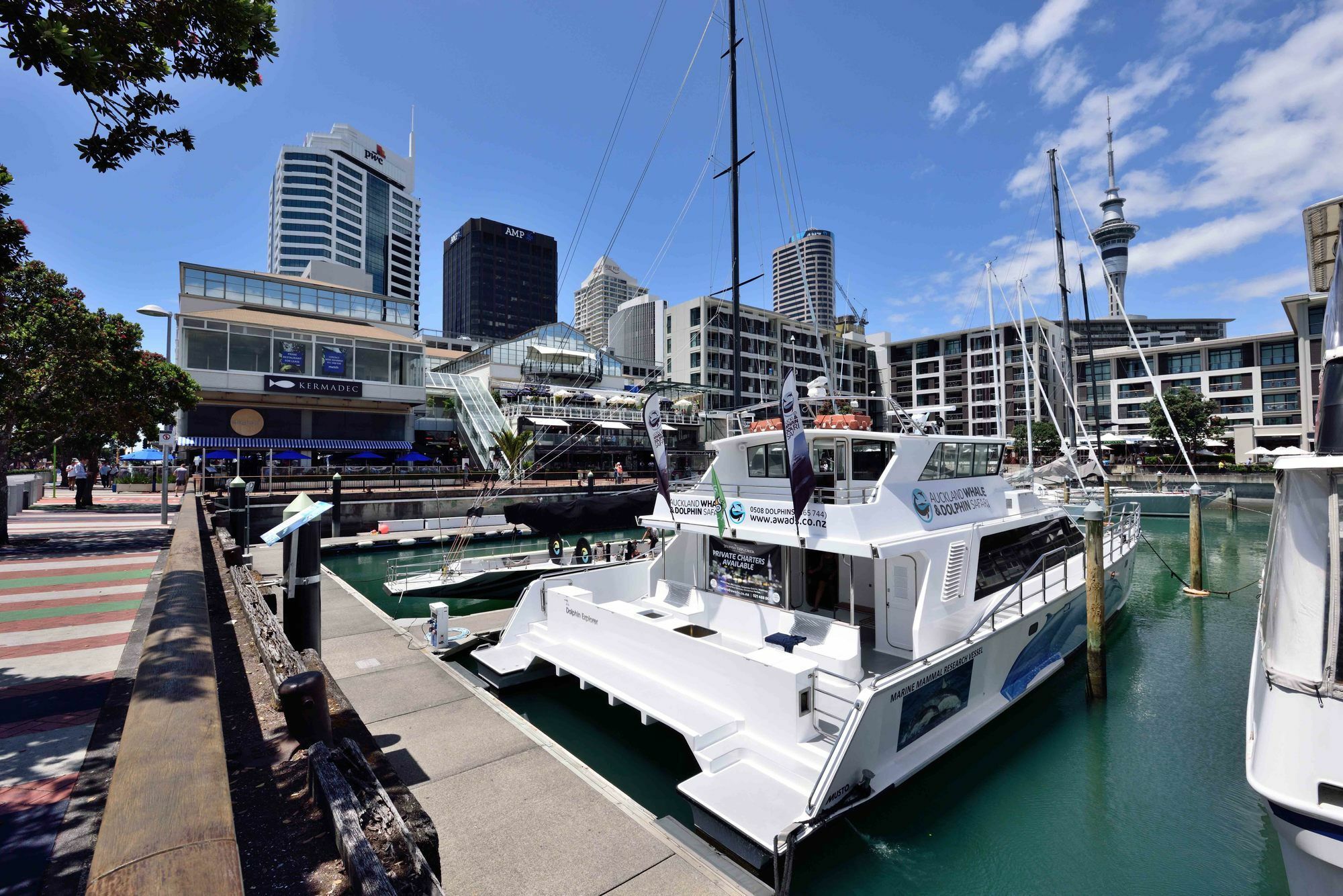 Furnished Apartment In Auckland Cbd Exterior photo